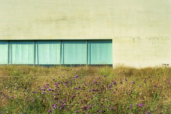 Photograph of building and it windows