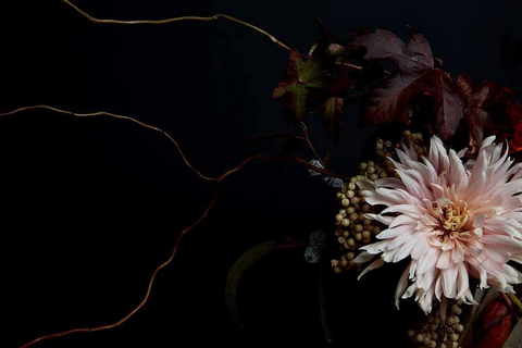 photographie nature morte - portrait lisa raio