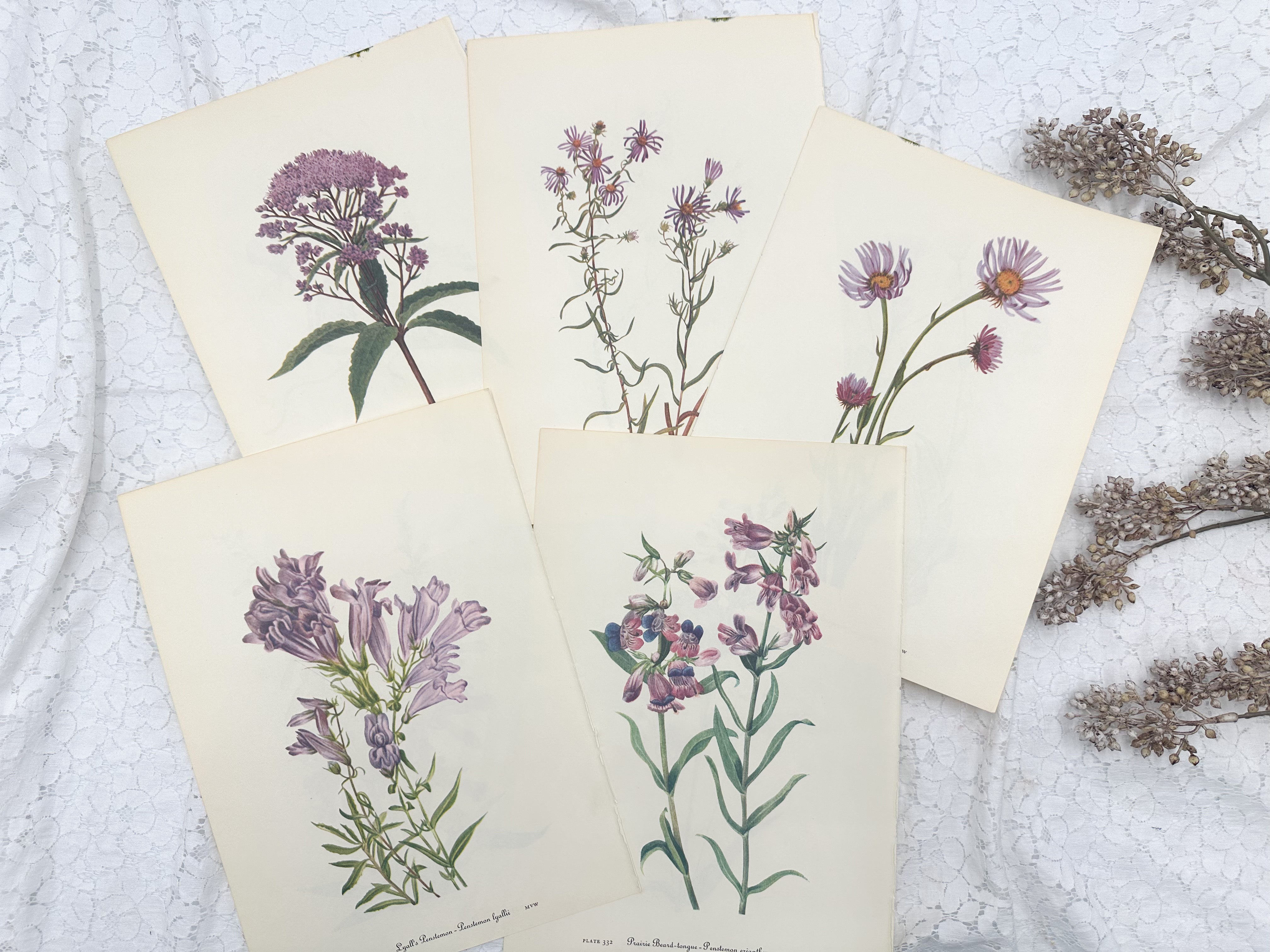 Botanical Print Set