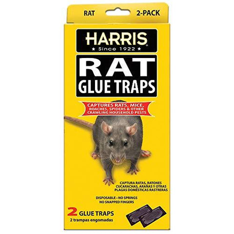 Harris Rat Glue Traps, (2-Pack)