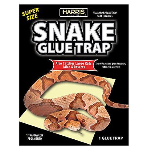 Harris Snake Glue Trap