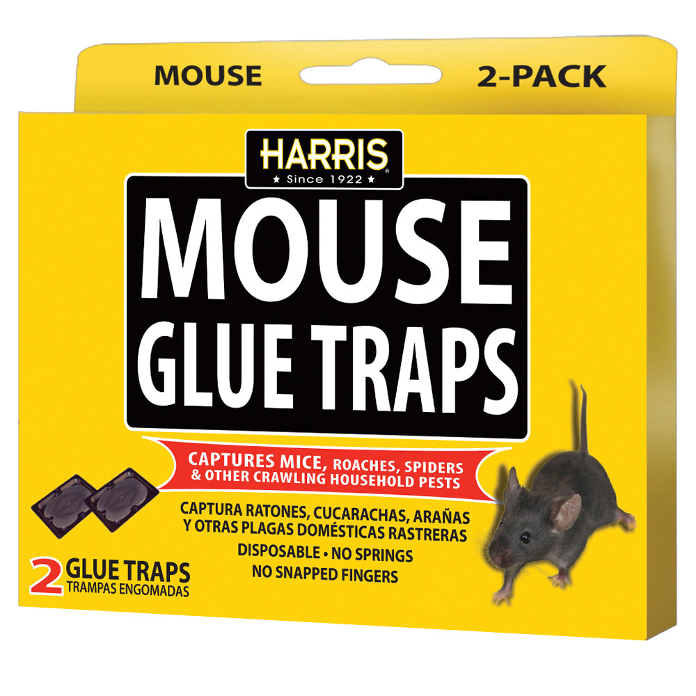Homestyle Essentials Mouse, Rat & Insect Glue Traps 4 Pack Box (3 Boxes  Included) 