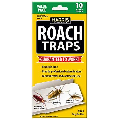 Window Fly Traps (30 pcs) – Trap a Pest