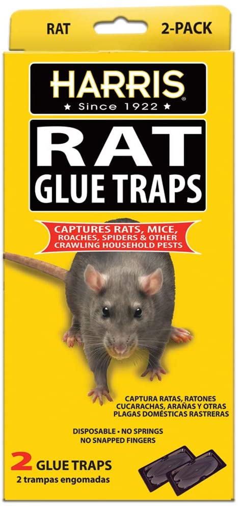 Harris King Size Rat & Mouse Glue Trap - PF Harris