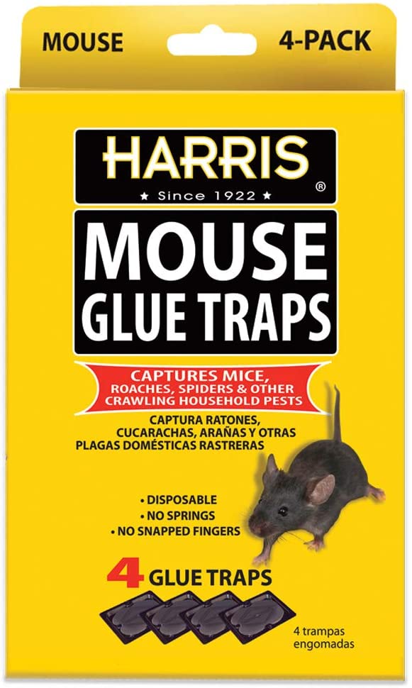 6 Pack Mouse Traps Rat Mice Snap Trap - Bed Bath & Beyond - 39134880