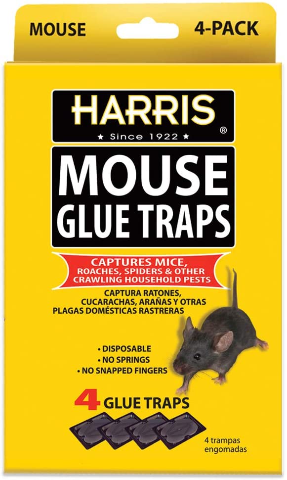 Harris Catch & Release Humane Mouse Trap