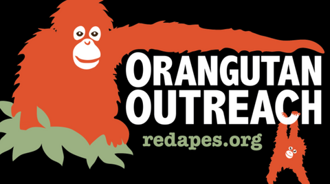 orangutan outreach red apes