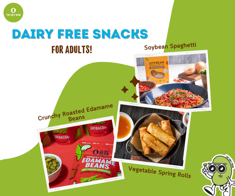 dairy free snacks for adults