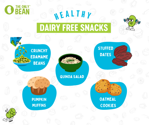 healthy dairy free snacks