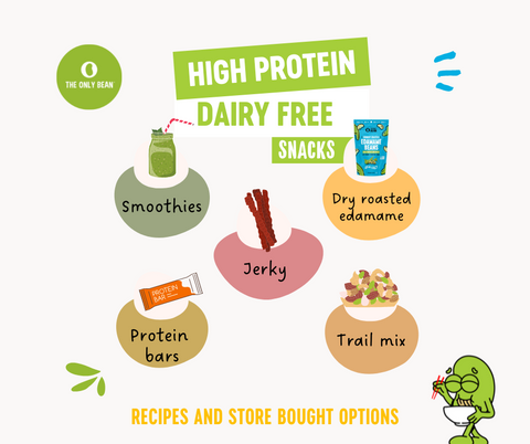 high protein dairy free snacks