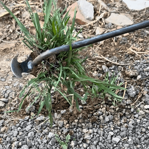 WeedHero® | Ultimate Quick & Easy Weed Remover Hoe – NextGenGardening™