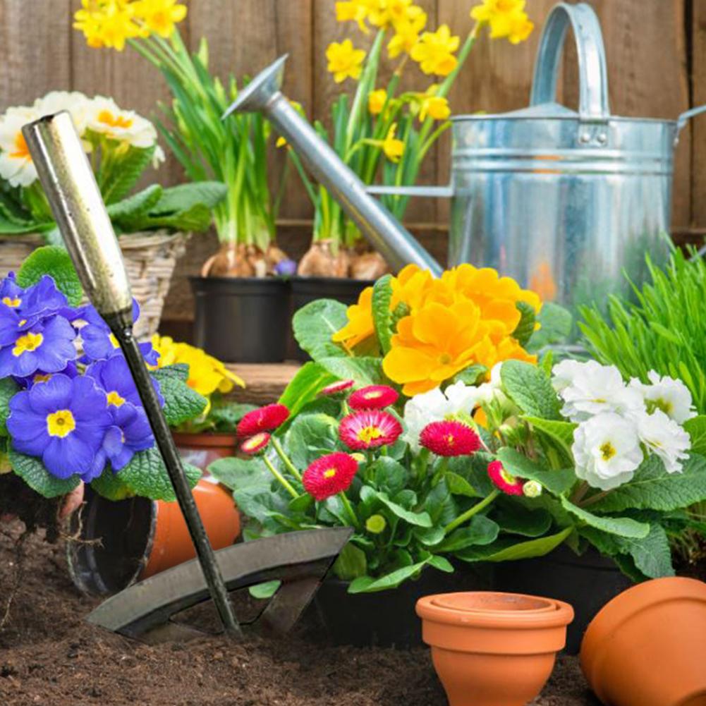 5 Reasons Why 1,000's of Gardeners Are Tossing Their Old Hoe ...