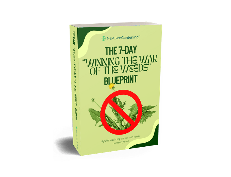 The 7-Day Winning the War of the Weeds Blueprint