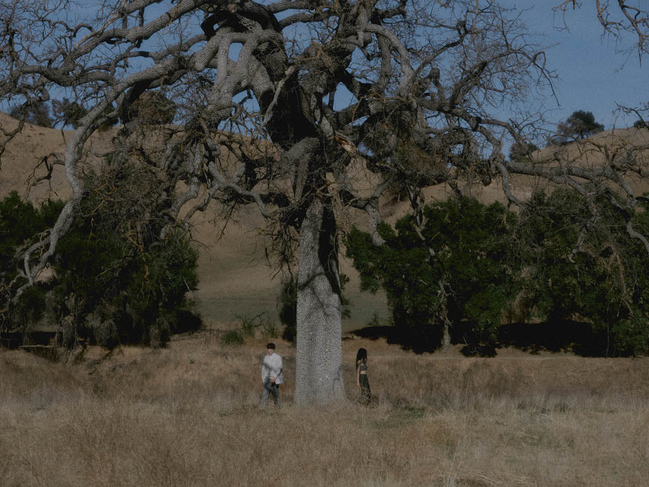 models walking around a tree