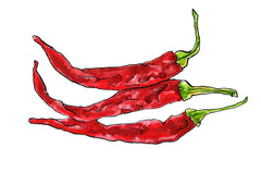 illustration of three red chilli peppers