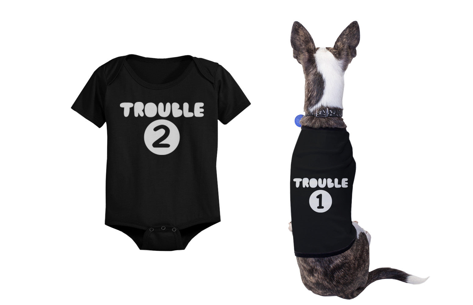 pet shirts