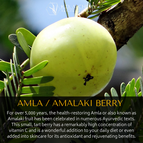 Amla Berry 