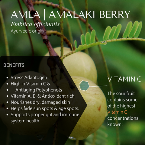 Amla Berry 