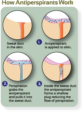 image of sweat ducts in the skin-perspiration graphic-www.rdalchemy.com