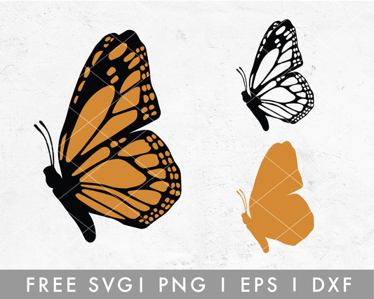 FREE Butterfly SVG  Flying SVG Cut File for Cricut, Cameo Silhouette –  Caluya Design