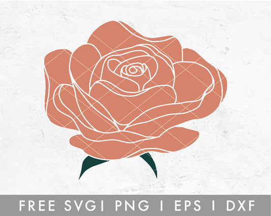 Rose SVG Cut File Template for Cricut and Silhouette – Digital Art Dreams