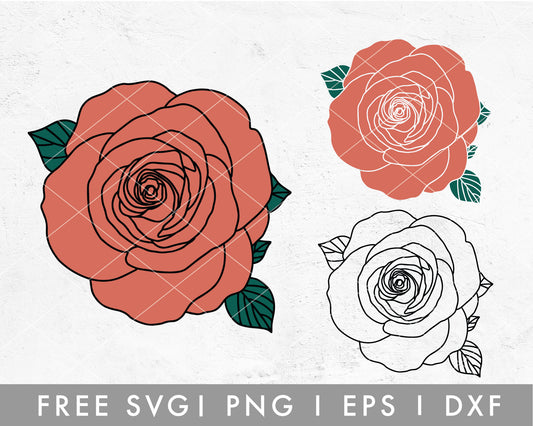 Free Rose Square Frame Design 3 SVG Cut File