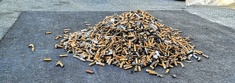 Cigarette Butts Pollution 