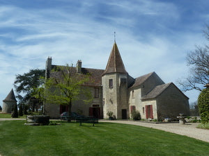 Château Puygueraud