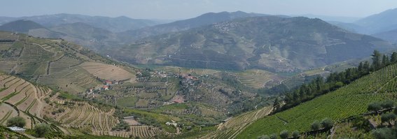 Douro valley