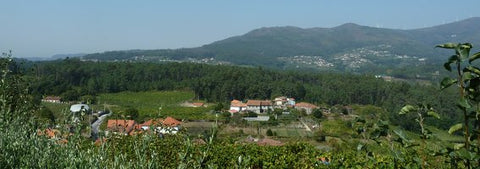 Quinta de Soalheiro cellar door view