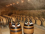 Dubreil-Fontaine tasting cellar, France - Halfwine Travels
