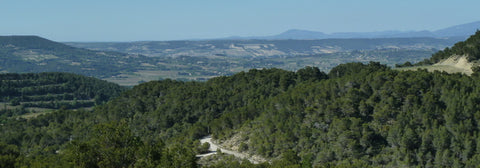 View from Domaine de Mourchon
