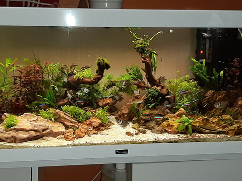 Drachenstein-Aquascape