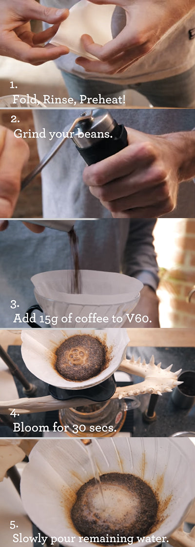 Hario V60 Brew Guide – Aldea Coffee