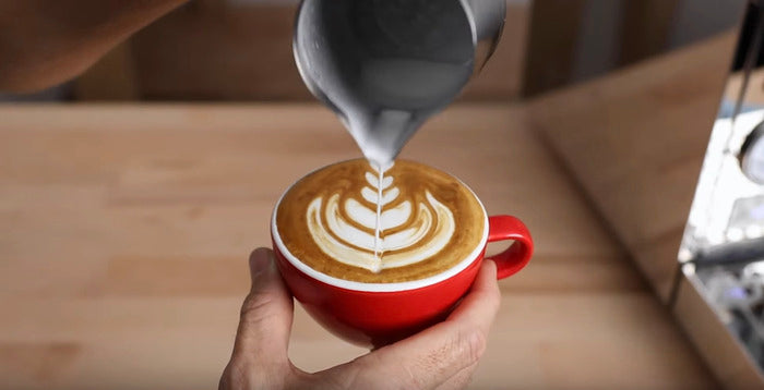 The Complete Guide to Pouring Latte Art - Prima Coffee Equipment