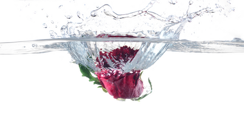 rose splashing in water