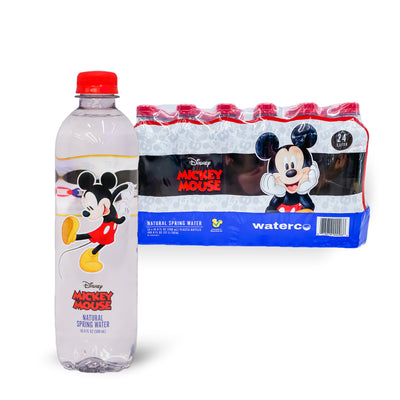 Disney Princess Artisan Picnic Bottled Water - 100% Natural Spring Water | Bottled Water