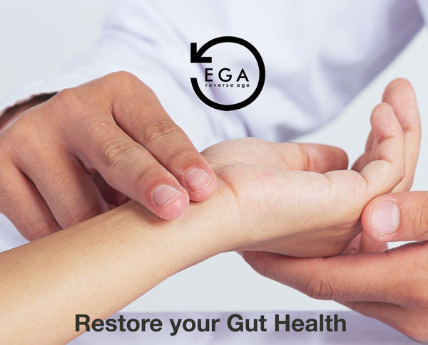 restore your gut health through ayurveda consultation