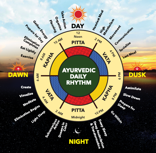 Ayurvedic Rhythm - Vata, Pitta and Kapha periods.