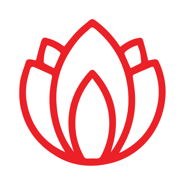 pitta dosha in ayurveda