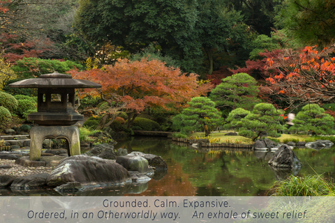 A photo of a verdant zen garden in Tokyo, Japan.