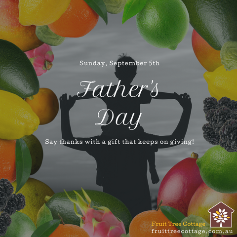 Fruit Trees are great gifts for Fathers Day