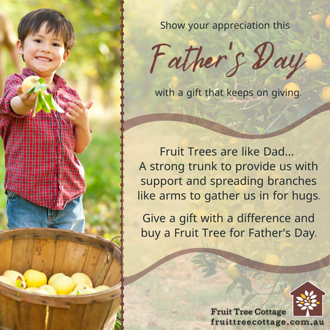 Gift a Fruit Tree for Father's Day