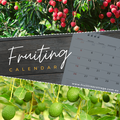 Fruit Tree Cottage - Fruiting Calendar