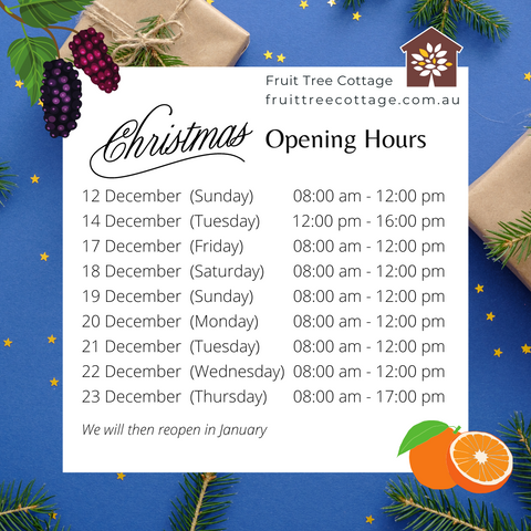 Fruit Tree Cottage Christmas 2021 Opening Hours