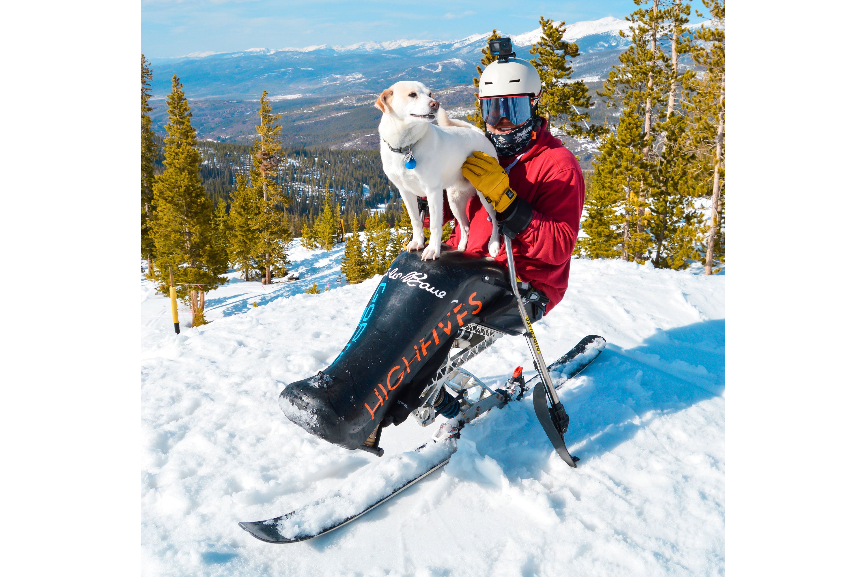 Trevor Kennison dressed in ski gear, with a go pro camera on his hemet and holding a Labrador dog. Snowy mountain scene with pine trees behind and below him