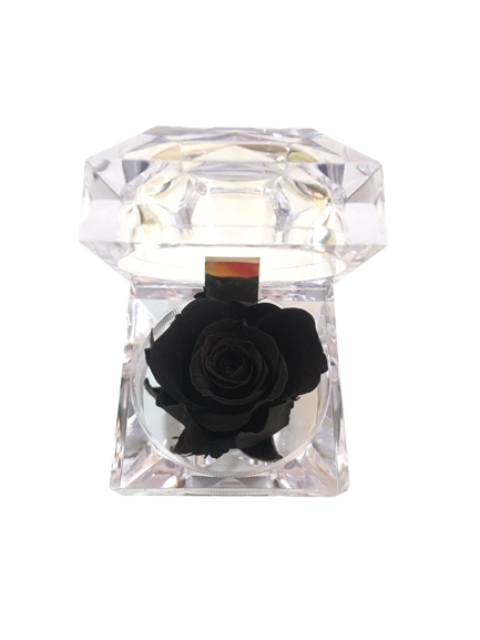 Rosa preservada negra en cofre de lujo – Pétalos Colombia