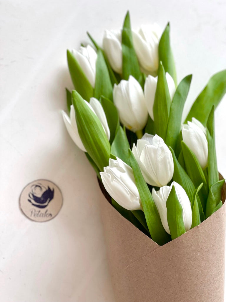 Cono de tulipanes blancos – Pétalos Colombia