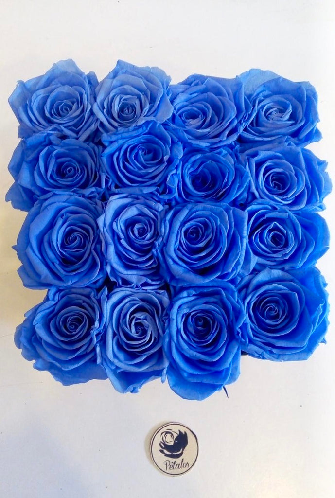 Caja deluxe de 16 rosas preservadas azules – Pétalos Colombia