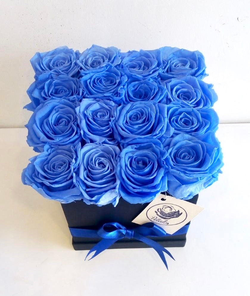 Caja deluxe de 16 rosas preservadas azules – Pétalos Colombia